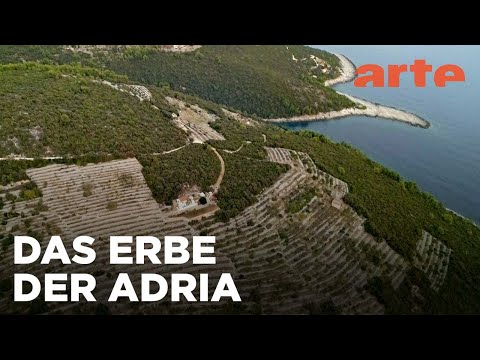 Kroatien: Die dalmatischen Weinberge | Die wunderbare Welt der Weine  | ARTE Fernweh