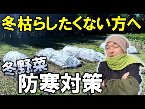 2月に菜園に何を播くか