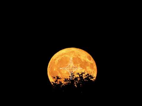 dj gummy bear - Blinded