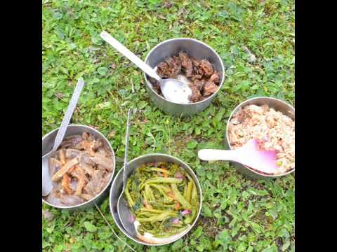 DRUK PATH TREK