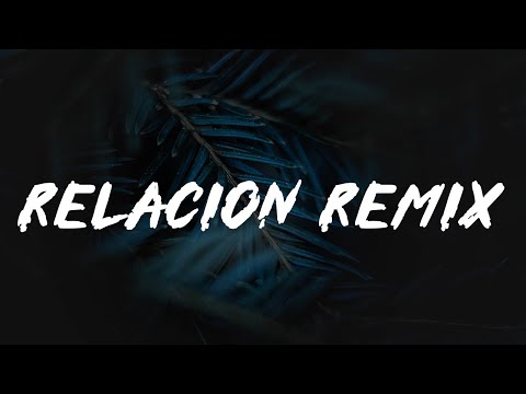 Sech, Daddy Yankee, J Balvin ft  Rosalía, Farruko - Relación Remix (Lyrics)