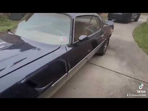 1980 Chevrolet Camaro (CC-1676037) for sale in Wilson, Oklahoma