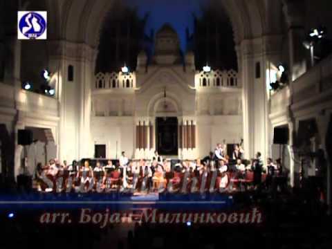 VILA & Miodrag Spasic - Virtuozna harmonika & Sirba di lehli