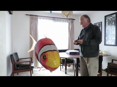 🐟 A Really BIG RC Air Swimmers Clownfish Plus Full Assembly Instructions and First Flight