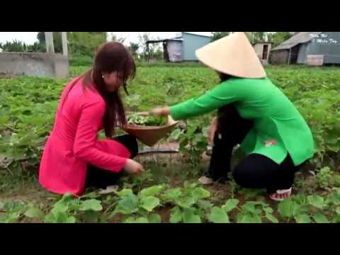 Thể hiện bởi Phi Nhung