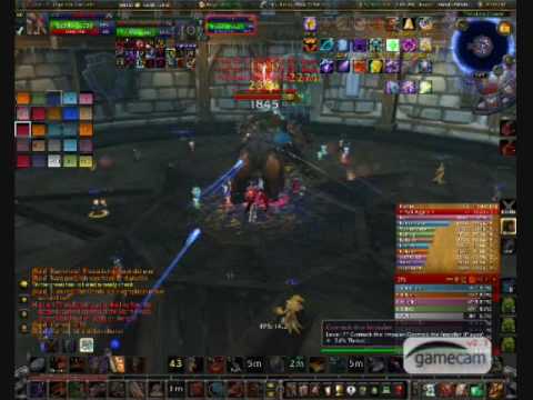 Trial of the Crusader: Northrend Beasts - Beginner's Guide