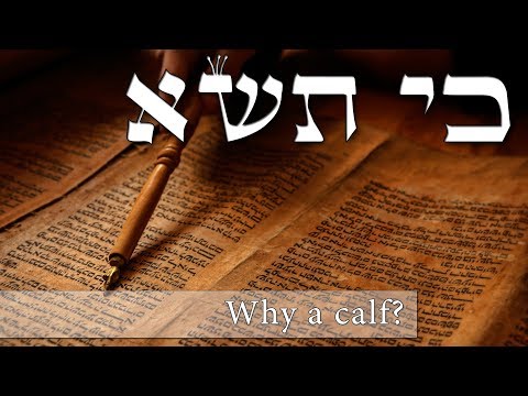 Parashat Ki Tisa - What good is a golden calf? - Rabbi Alon Anava
