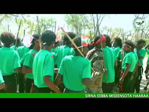 Qophii Sirna Eebba ONM-ABO Amajjii 18-2026 itti dhiyaadhaa!