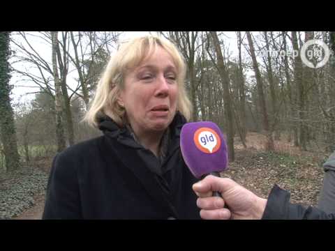 Trein ontspoord na botsing in Almen