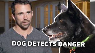 The Dog That Knows When He's in Danger | Rescue Dog to Super Dog USA | S1 E2 | Our Stories