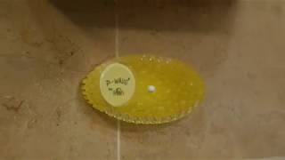 P-Wave® Curve Air Freshener