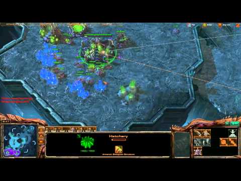 Destiny (Z) vs. RootMinigun (P) [Game 2] (Part 1/2) - Starcraft 2