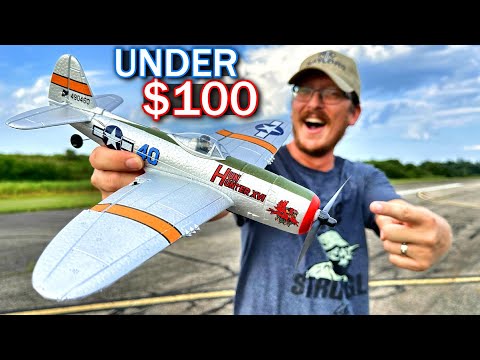 WORLD'S EASIEST to FLY under $100 Mini RC Warbird Airplane!