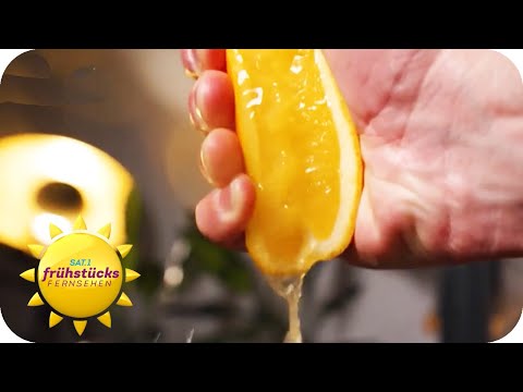 Von Obst zu Saft - wie sinnvoll sind Entsafter? | SAT.1 Frühstücksfernsehen