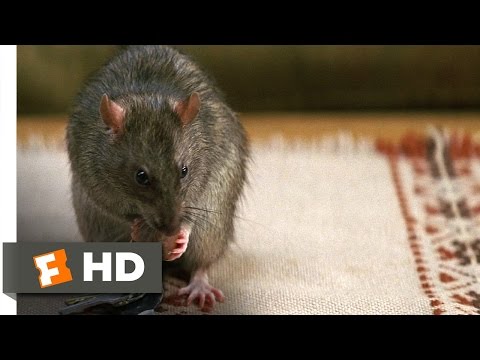 Cheaper by the Dozen 2 (1/5) Movie CLIP - The Chisler (2005) HD