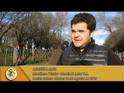 14-08-18 Nota Agustín Lalor - Martin G. Lalor S.A. - B. Juarez.