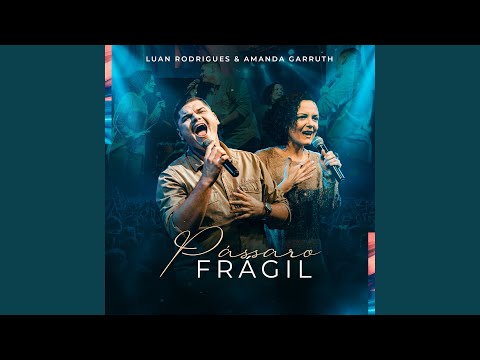 Pássaro Frágil - Luan Rodrigues LR