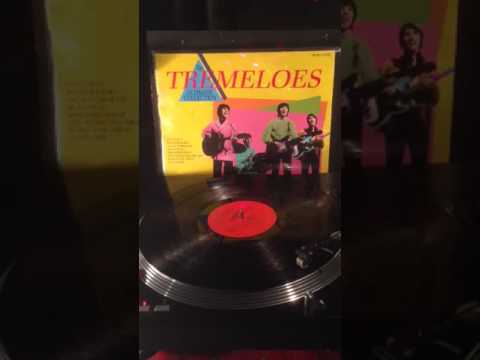 The Tremeloes- Silence Is Golden From 1967 (Vinyl )