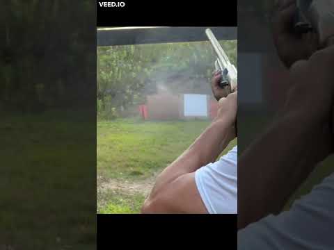 Is Browning Wicked Wing XD worth it?! #shorts