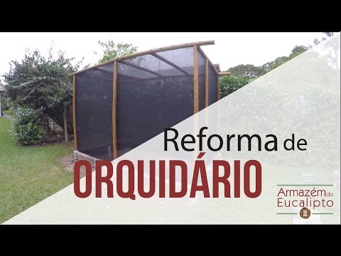Reforma de Orquidário: Substituindo Madeira Antiga por Eucalipto Tratado