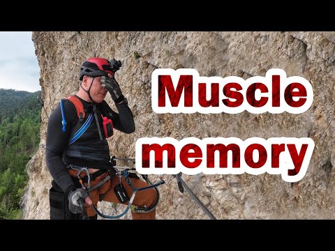 Fight or Flight - What should you do? - Build muscle memory for rapid response in extreme cases