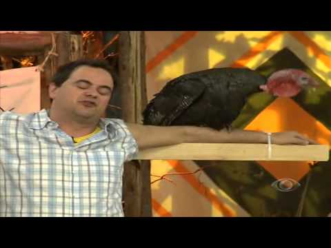 O Maior Arregão do Mundo 11/11/2012