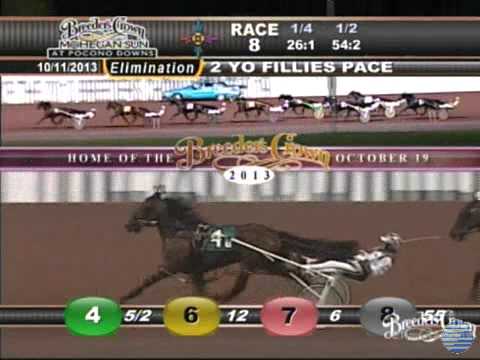 Gallie Bythe Beach - 2013 Breeders Crown elimination - Two-Year-Old Filly Pace