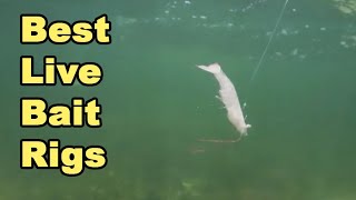 Top 3 LIVE BAIT RIGS For Inshore Fishing (To Rig Shrimp, Pinfish, Mullet, & More)