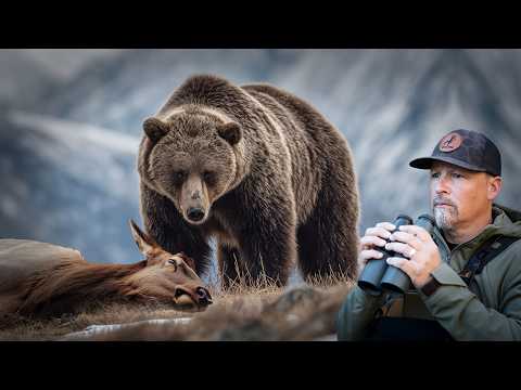 The Most Dangerous Grizzly Bear Encounter!