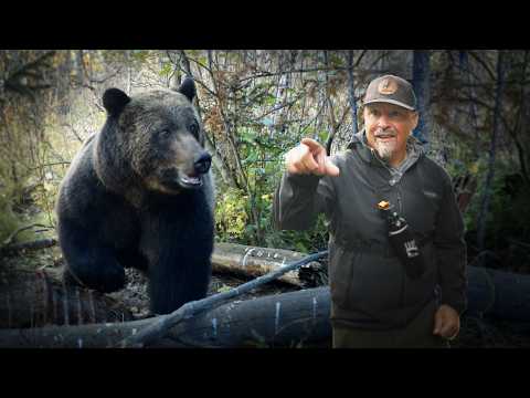 The Most Dangerous Grizzly Bear Encounter!