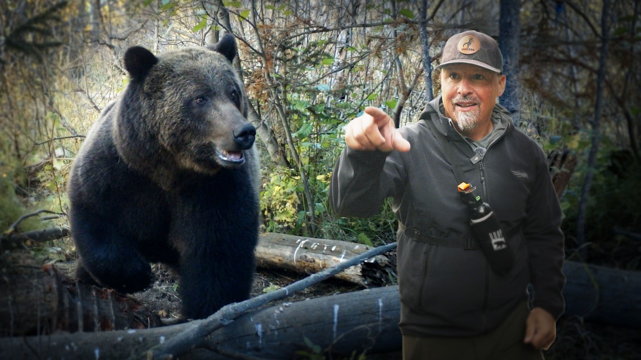 The Most Dangerous Grizzly Bear Encounter!