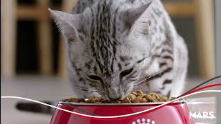 Video Screenshot for Royal Canin/Mars Petcare