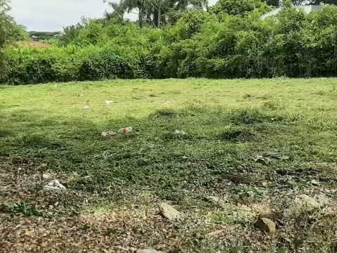 Lotes, Venta, Jamundí - $320.000.000