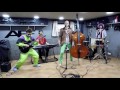 Kobra Party Band Universal