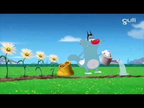 Orgy and the cockroaches wrestlin full Episode in HD