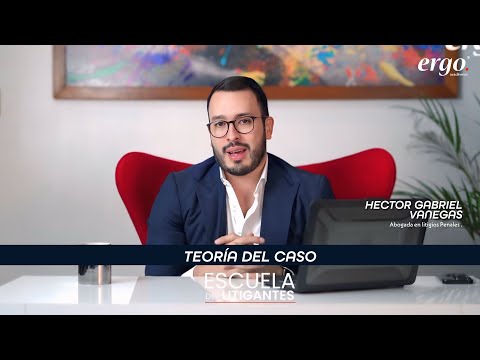 SCHOOL OF LITIGANTS by ergo - Héctor Gabriel Vanegas "CASE THEORY"