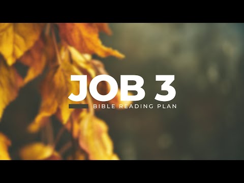 Job 3