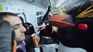 Смотреть онлайн Прикольный флешмоб "Наглые пингвины в метро"