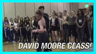 Jump and Shake | Timeflies | David Moore