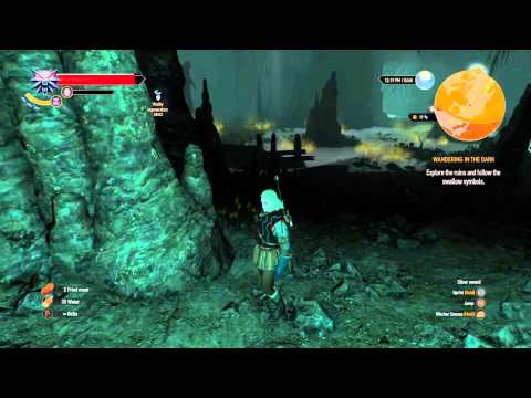 The Witcher 3: Wild Hunt QUEST WANDERING IN THE DARK