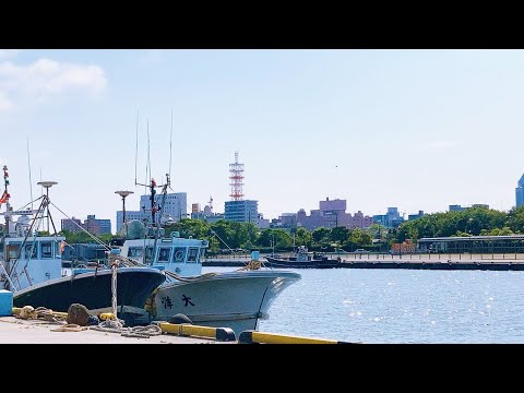 みなとのマルシェ ピアBandai プロモーション動画