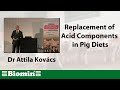 Replacement Of Acid Components In Pig Diets Webinar