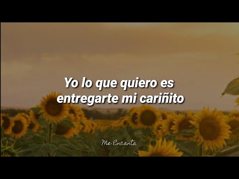 Poquito A Poquito - Vicente Garcia