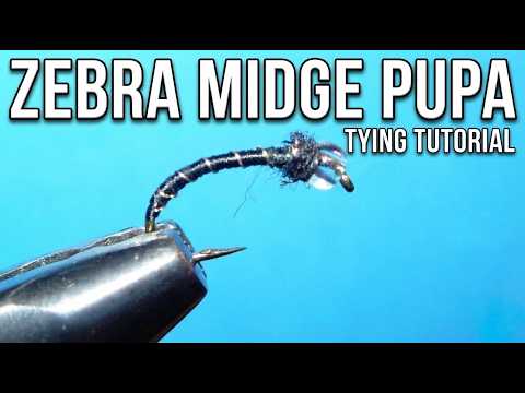 This Fly Has The Highest Chances of Catching Trout on Any River!