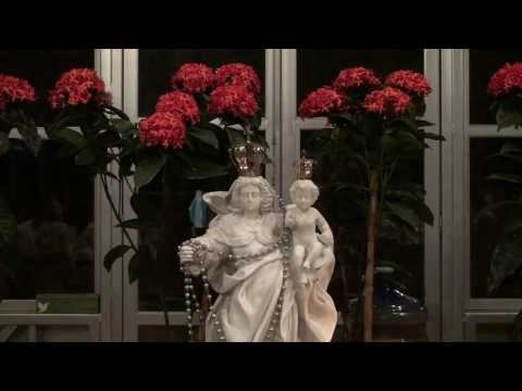 SOIS BALIZA - FLOR DE JAGUBE - GERMANO 42