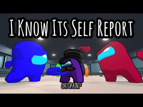 Mashup | Gatopaint² - I Know It's Self Report