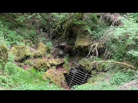 Eifelsteig Etappe 9 - Fernwanderweg in der Eifel - long-distance hiking trail - Trailer