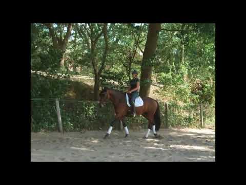 POCAHONTAS 4j v. Private Passion - Imperio VB 12.000,- Euro