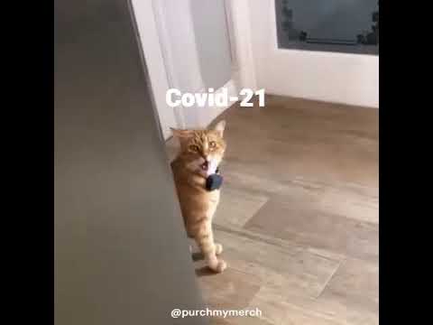 (ใฃโโกโ)ใฃ โฅ I can't believe 2020โข is almost over! โฅ โ | โpurchmymerchโ ๐
ผ๐
ด๐
ผ๐
ด