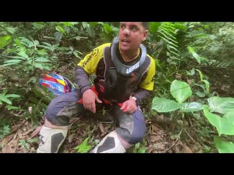 Trilha de erval grupo cachorro loko parte 02 